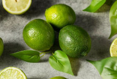 Tips Memilih dan Menyimpan Jeruk Nipis Segar agar Tetap Segar dan Mudah Digunakan dalam Masakan
