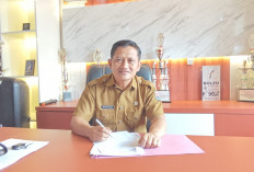 Mulai Senin Sudah Ada Pabrik Sawit di Mukomuko Stop Terima Buah Hingga Usai Lebaran