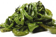 Mengenal Tiga Serangkai Samudra: Keajaiban Nutrisi di Balik Nori, Wakame, dan Kombu