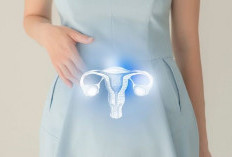 Konsultasi dengan Dokter Kandungan: Langkah Penting untuk Menjaga Kesehatan Rahim!