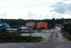 Pabrik Sawit di Mukomuko Mulai Buka dan Terima Buah Petani