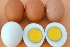 Penderita Kencing Berbusa Dilarang Makan Kuning Telur, Ini Alasannya