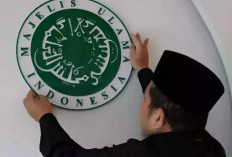 MUI Tanggapi Video Viral Di Medsos, Al-Qur'an Dinjak-injak