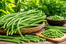 Manfaat Kacang Panjang bagi Kesehatan: Sayuran Lokal Kaya Nutrisi untuk Tubuh Lebih Bugar