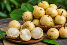 Manfaat Buah Menteng bagi Kesehatan: Buah Tradisional dengan Rasa Segar dan Kandungan Nutrisi Alami