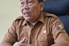 Sejak Januari Hingga April Sudah 10 Kasus Pelecehan Terhadap Anak Di Mukomuko