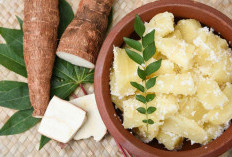 Rahasia Mengolah Singkong: Panduan Cerdas Menghilangkan Sianida demi Sajian Sehat dan Nikmat