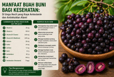 Manfaat Buah Buni bagi Kesehatan: Si Ungu Kecil yang Kaya Antosianin dan Antioksidan Alami