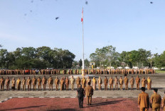 Gaji PNS Terbaru 2026 Cukup Tinggi, Belum Termasuk TPP atau Tukin