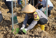 Gebrakan Polres Mukomuko, Uwi UnguSumber Pangan Alternatif Untuk Ketahanan Nasional