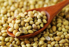 Manfaat Ketumbar untuk Mengontrol Gula Darah: Cocok untuk Penderita Diabetes!