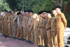 Pejabat Eselon Bisa Dimutasi Kembali Walau Belum 2 Tahun Menjabat, Jika Alasannya Ini