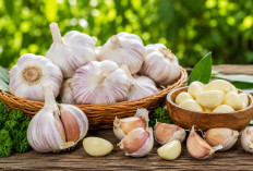 Manfaat Bawang Putih bagi Kesehatan: Bumbu Dapur Sederhana dengan Khasiat Besar untuk Tubuh