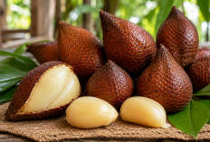 Manfaat Buah Salak bagi Kesehatan: Buah Eksotis Nusantara dengan Nutrisi Melimpah