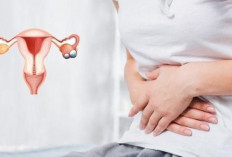 Konsultasi dengan Dokter Kandungan: Langkah Penting untuk Menjaga Kesehatan Rahim!