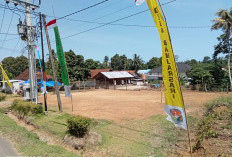 Banjarsari Semarakkan HUT RI ke 81 dan HUT Desa ke 17