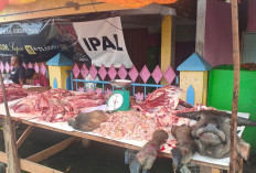 Besok Lebaran, Ketersediaan Daging di Mukomuko Cukup Memadai