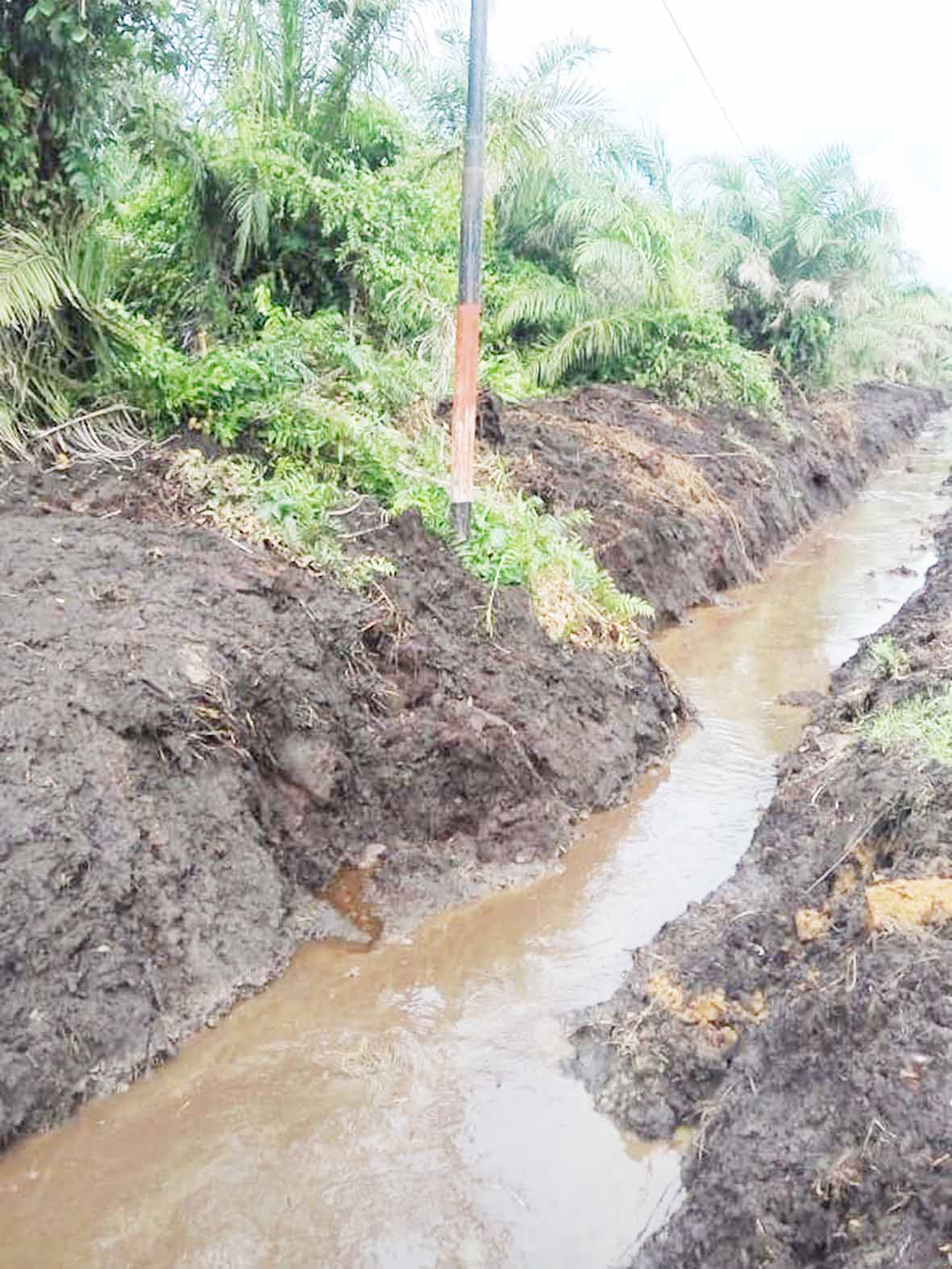 Kades Minta Tiang Telkom Dipindah