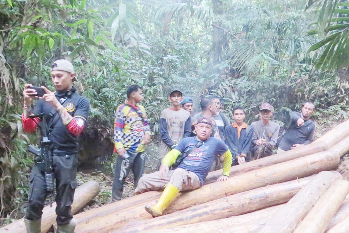 Curah Hujan Tinggi, Illegal Logging Bisa Meningkat