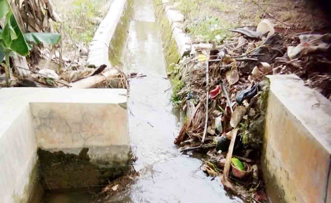 Terkendala Sumber Air, Lahan Cetak Sawah Baru Belum Digarap