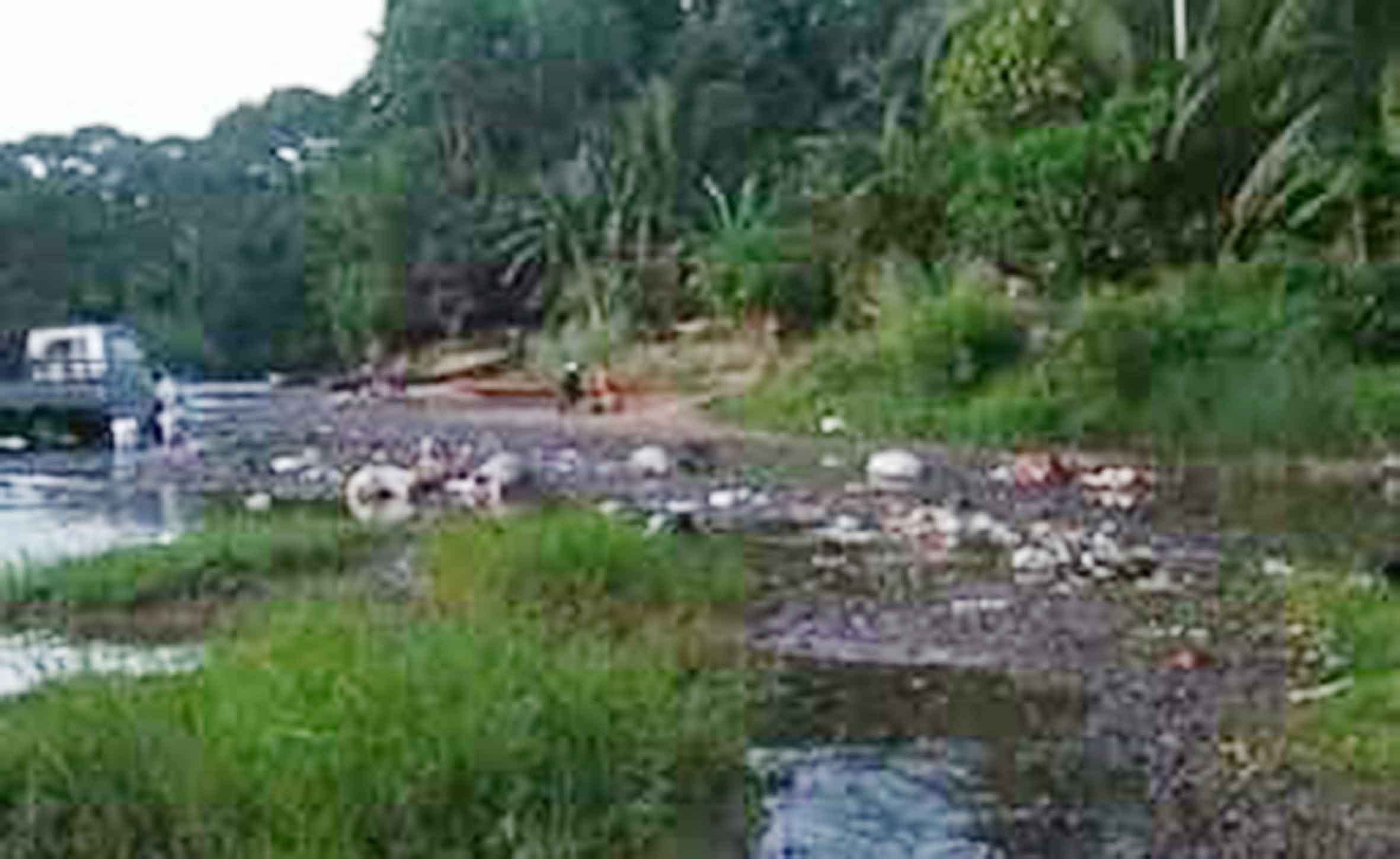 Sungai Teramang di Tunggang Tercemar?