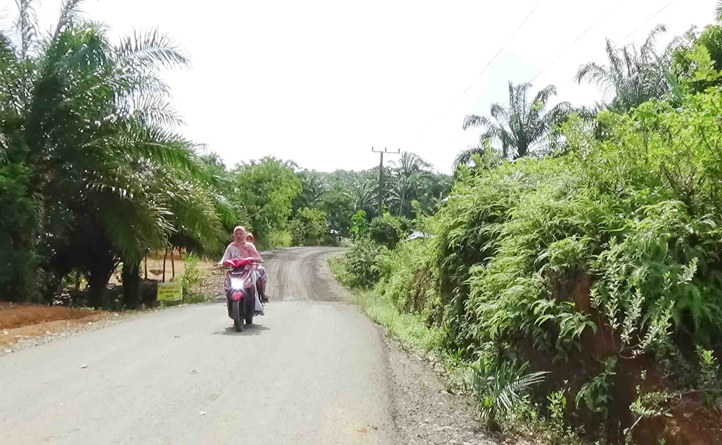 Pembangunan Jalan Pondok Kopi – Tunggal Jaya Hampir Tuntas