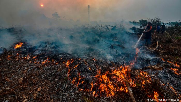 Kebakaran Lahan di Rawa Bangun