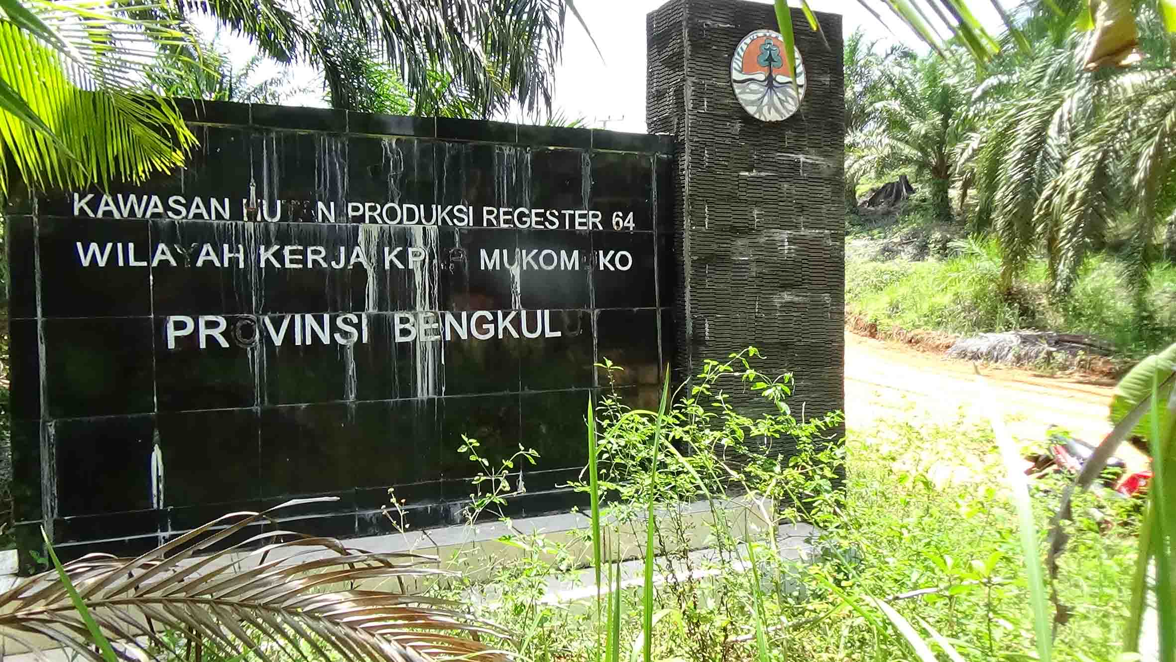 Ratusan Hektare Wilayah Bukit Makmur Masuk HPT