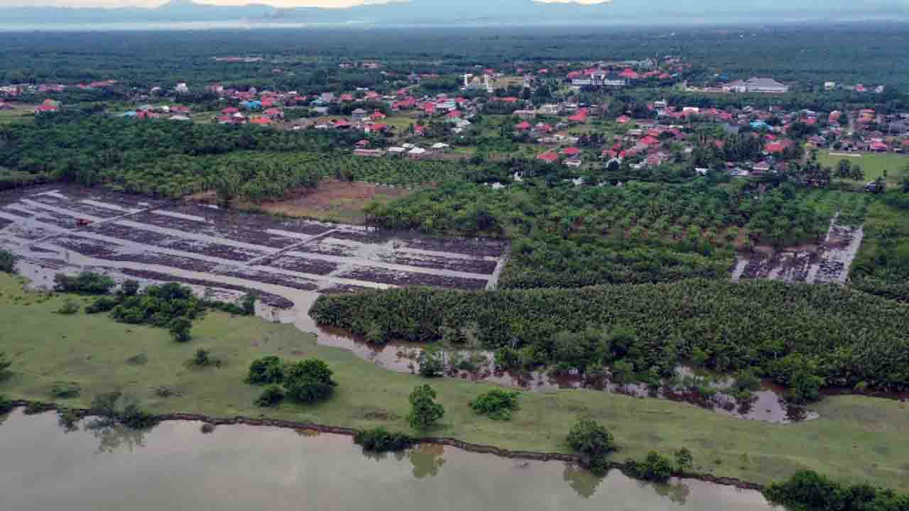 Warga RT3 Bandaratu Laporkan Pembukaan Hutan Nipah