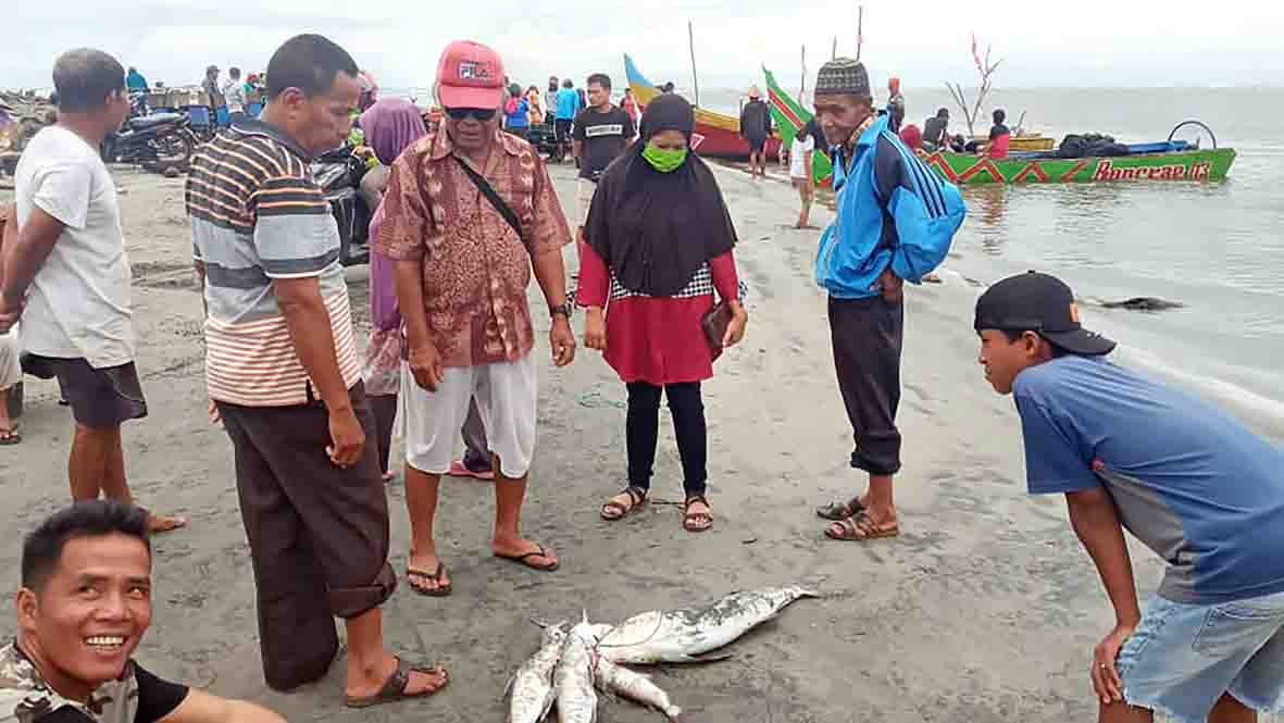 Pemerintah Bantu Dua Kelompok Budidaya Perikanan di Mukomuko