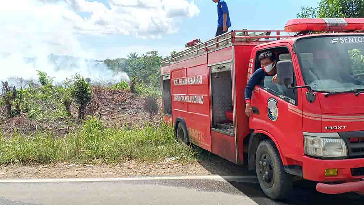 Lahan Gambut Depan Balai Daerah Mukomuko Terbakar