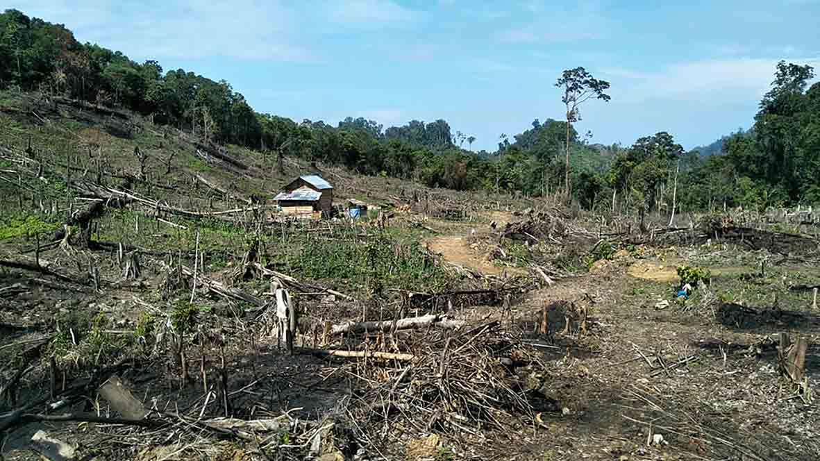 Perambahan HPT Terus Terjadi