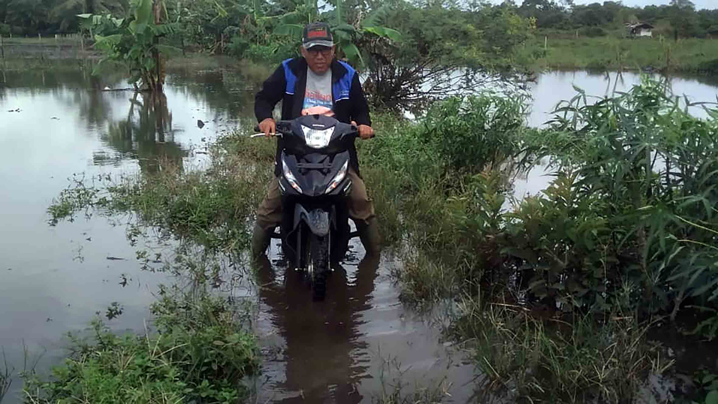 30 Persen Sawah di Teramang Jaya Dialihfungsikan