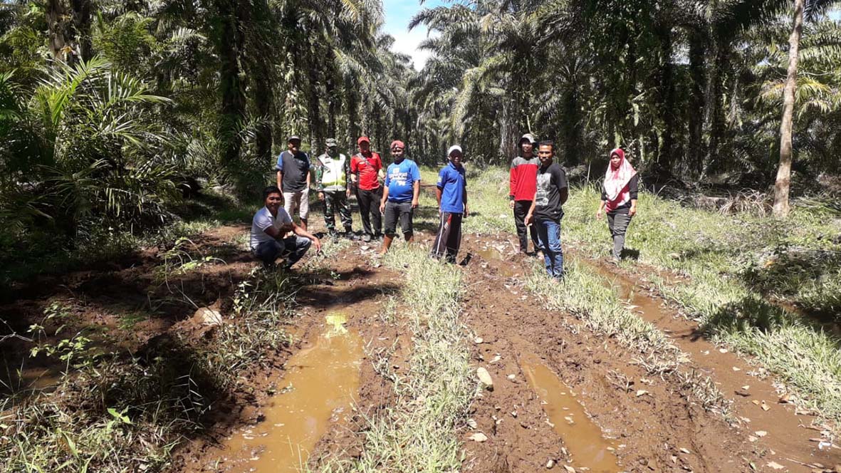 Jalan Sentra Produksi Pertanian Maju Makmur – Sumber Mulya, Memprihatinkan