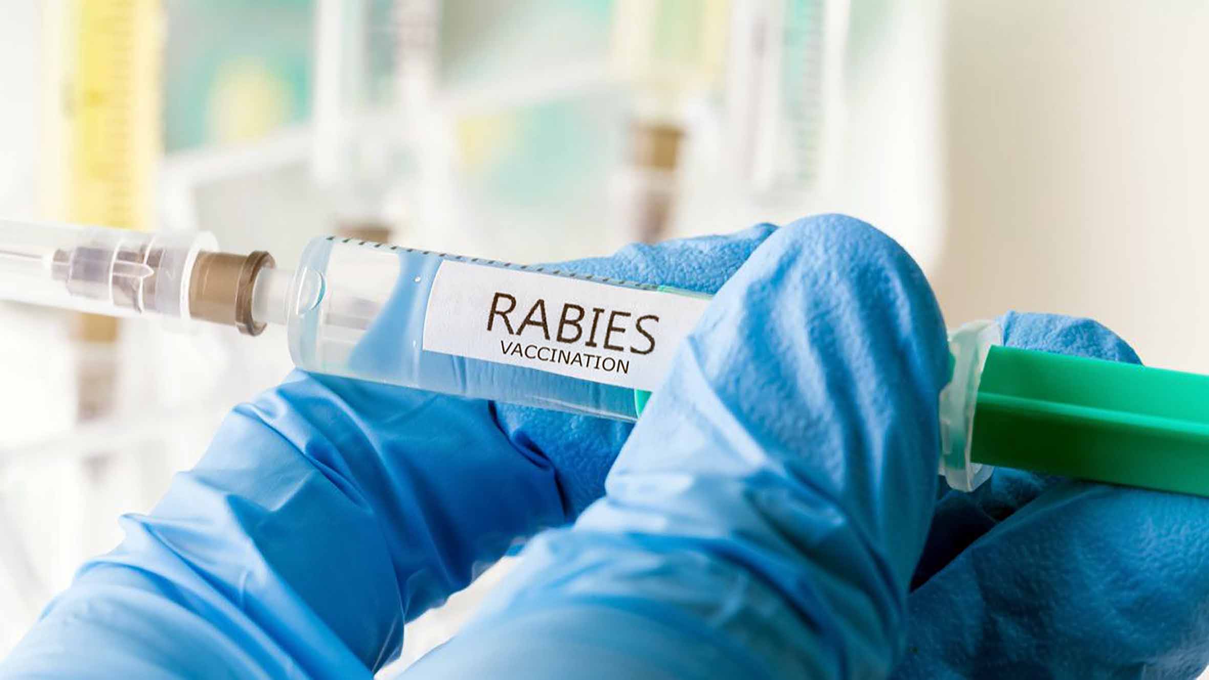 Dinas Gencarkan Vaksin Hewan Penular Rabies