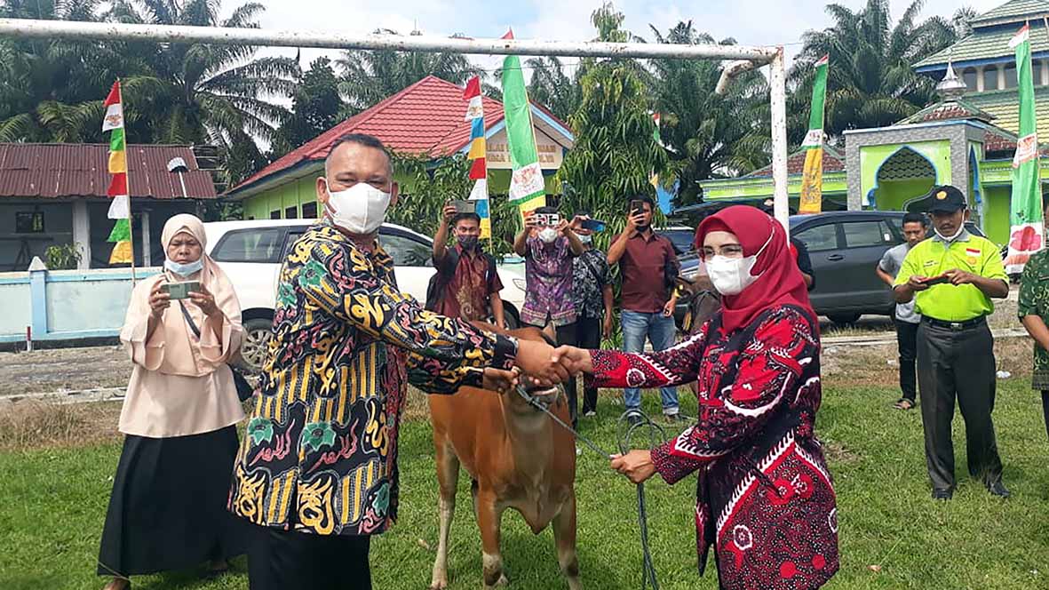 Belasan Poktan Dapat Bantuan 121 Ekor Sapi