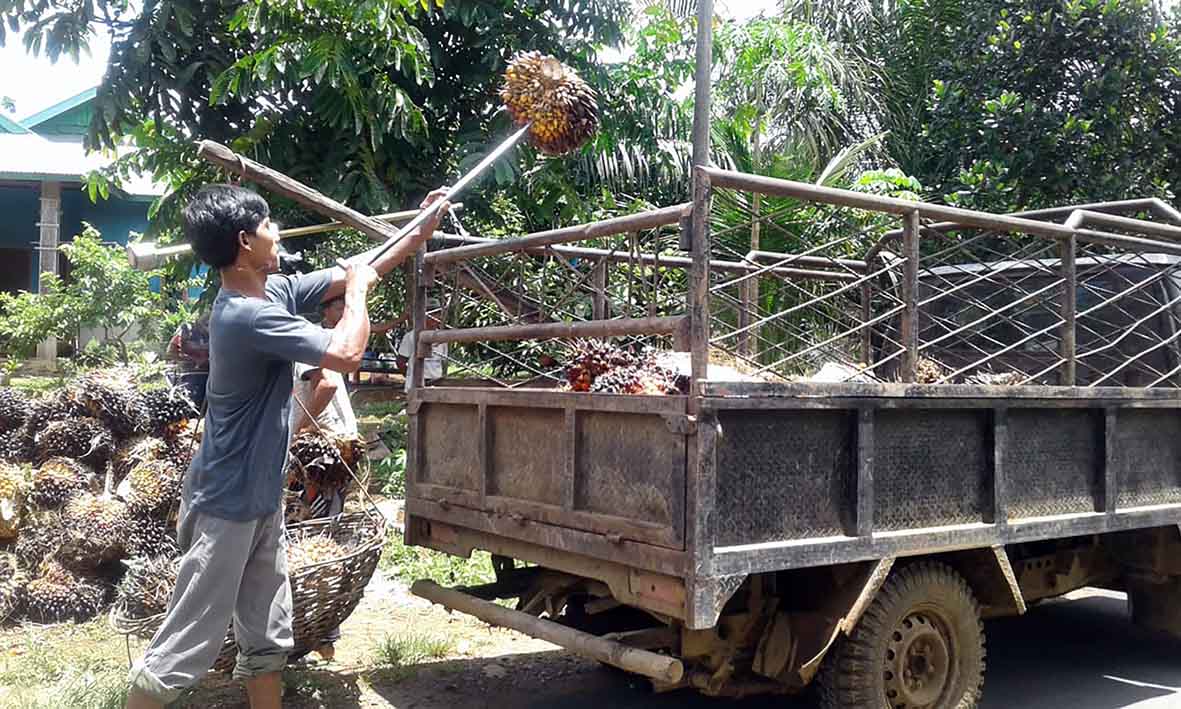 Harga Pupuk Selangit, Petani: Ora Papa