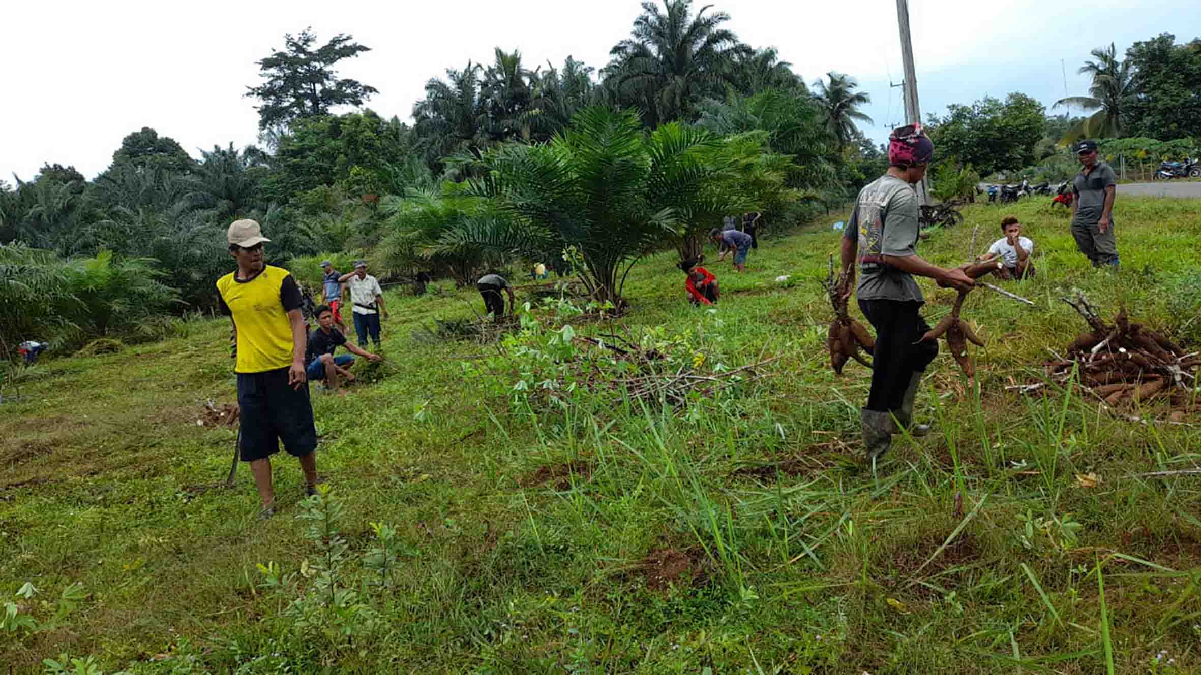 Sido Makmur Siapkan Lokasi Pasar Permanen