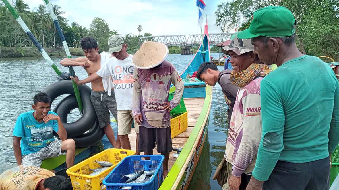 Nelayan Mukomuko Berburu Ikan Tongkol