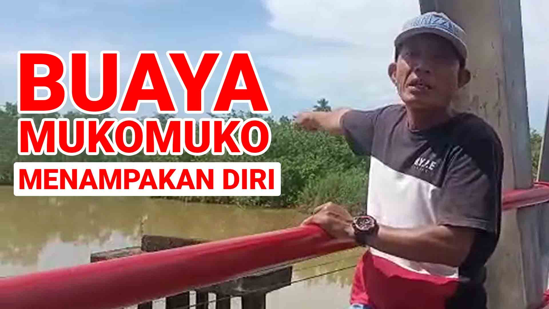 Warga Beramai-ramai menyaksikan si “Boy” berukuran besar tengah berjemur di Jembatan Koto Jaya